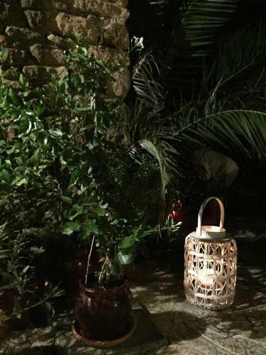 Bed & Breakfast Les Aigui�res En Provence