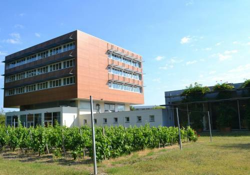 Hotel H�tel De Guyenne