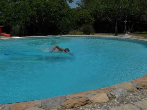 Lodge Domus-san Javier