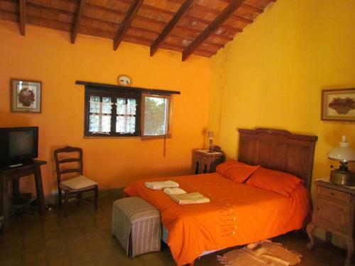 El Petrel Caba�as Y Spa De Campo