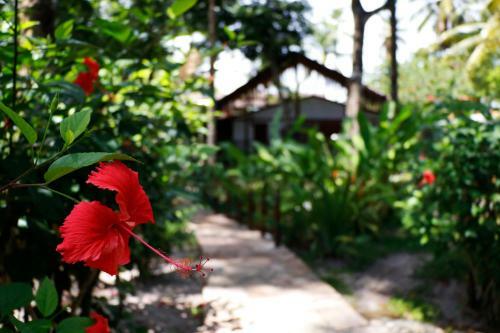 Hostal Pousada P�rola Do Atl�ntico