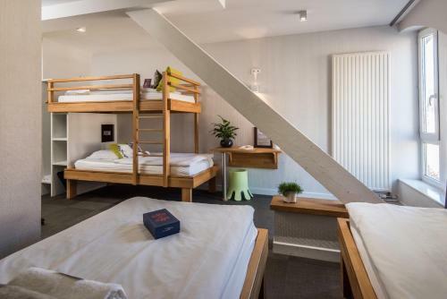 Albergue Ciarus