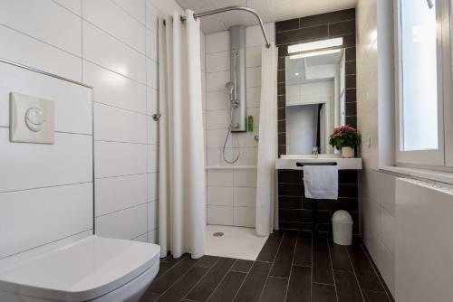 Albergue Ciarus