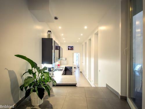 Apartamentos Le Dunant