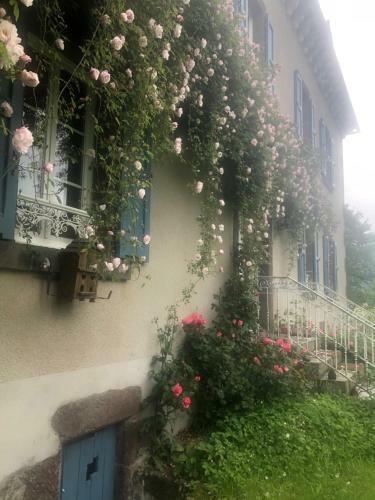 Bed & Breakfast Le Figarelou