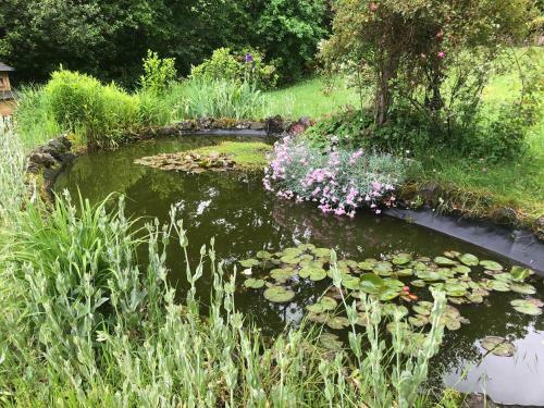 Bed & Breakfast Le Figarelou