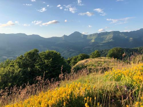 Bed & Breakfast Le Figarelou