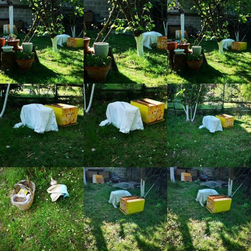Bed & Breakfast Villa Le Cloky