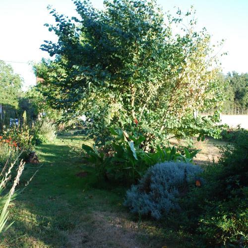 La Clairiere Au Bois