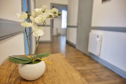 Apartamento ? Les Logis de La Tr�moille ? Cozy ? Netflix ?