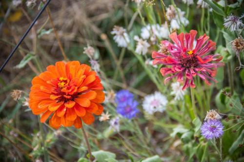 Chambre D'h�tes Enmarcade