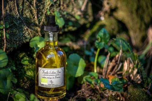 G�te de Charme Du Domaine Pagnon Guillemette