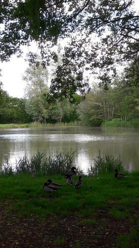 Entre Loire Et Cher Grand G�te "c�t� Tilleul"