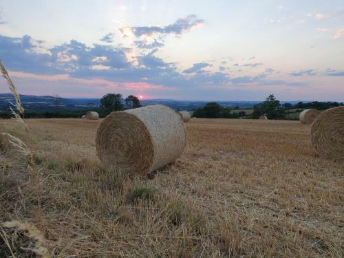 Bed & Breakfast Rouet-nature.fr - Chambre D'h�tes Champ�tre
