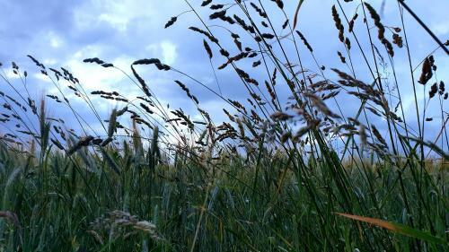 Bed & Breakfast Rouet-nature.fr - Chambre D'h�tes Champ�tre