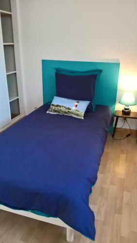 G�te Cocantin