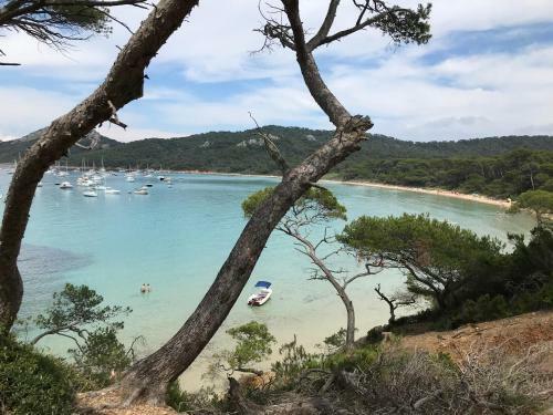 Apartamento Appartement Chevalier Paul Toulon