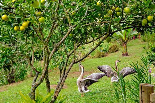 Hostal Pousada N� Da Madeira