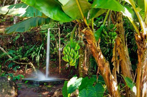 Hostal Pousada N� Da Madeira