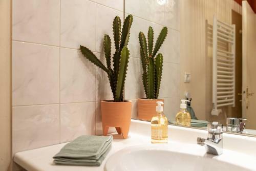 Apartamento Appartement Le Terracotta - Parking - Place Du Capitole
