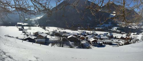 Apartamento Les Sapins Blancs