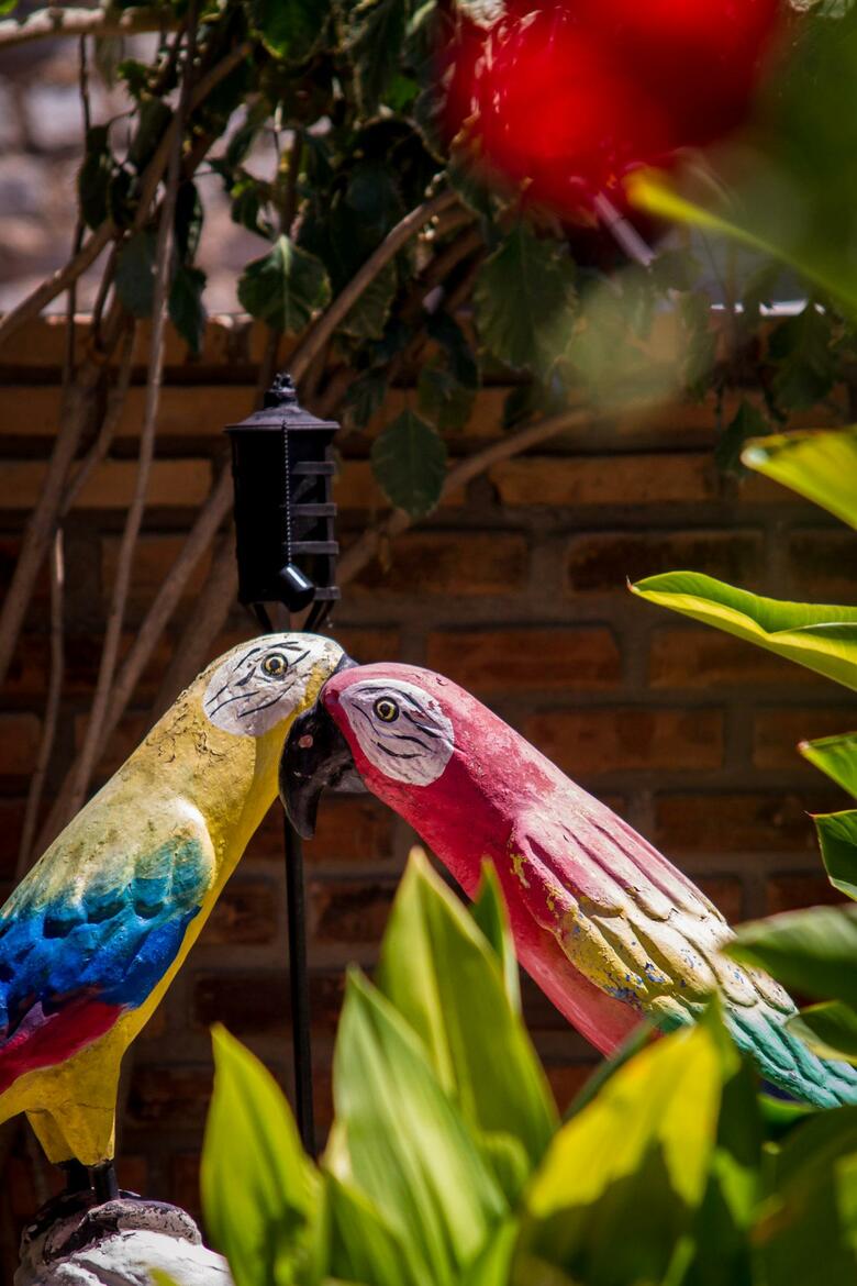 Hostal Pousada Le Baron