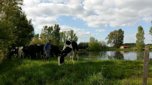 Agroturismo Charmante Maison � La Ferme