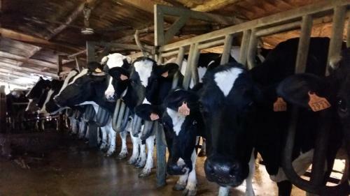 Agroturismo Charmante Maison � La Ferme