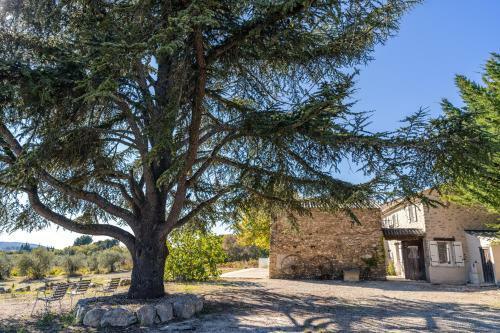 Mas Provencal Climatis� Avec Vue Sur Le Mont Ventoux