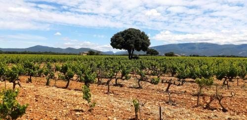 L'instant Provence