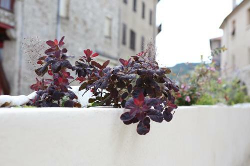 Apartamento Chez Mary