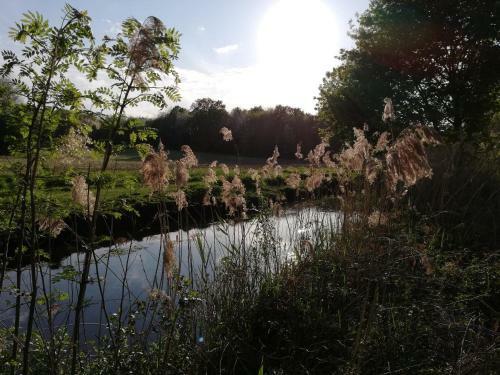 Bed & Breakfast Varzay Autour Du Puits