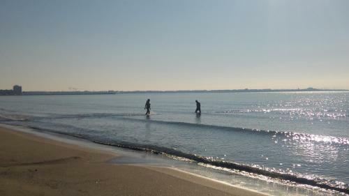 G�te de Vacances En Camargue ??nn