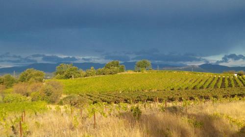G�te de Vacances En Camargue ??nn