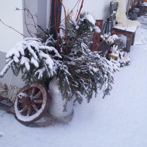 Agroturismo Urlaub Am Heubauernhof K�ck