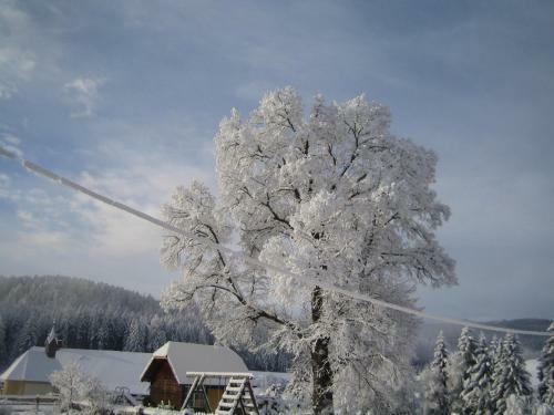 Agroturismo Urlaub Am Heubauernhof K�ck