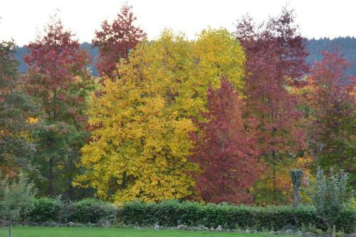 Le Hameau Du Ch�teau