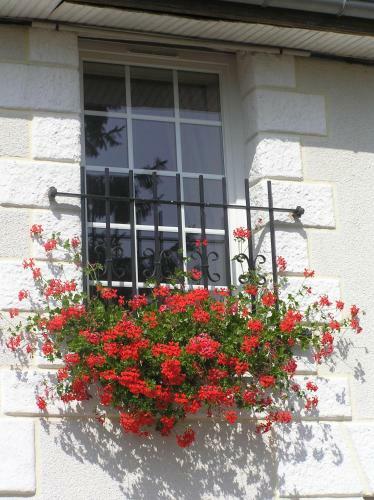 Bed & Breakfast Le Renard Chambres D'hotes