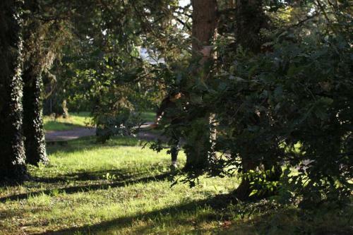 Gite Calme Et Cosy, Toutes Commodit�s Et Tourisme
