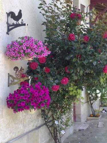 Bed & Breakfast Villa Madeleine