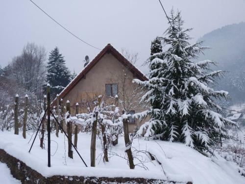 Les Cerisiers