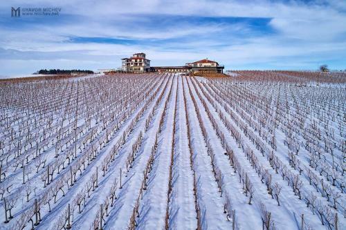 Seven Generations Winery Hotel