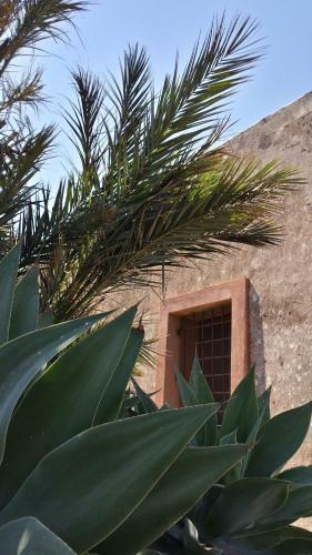 Agroturismo Pantelleria Le Ballute
