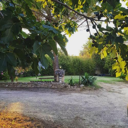 La Grangette Grange R�nov�e 100m2 Terrasse Privative,10 Min Mer