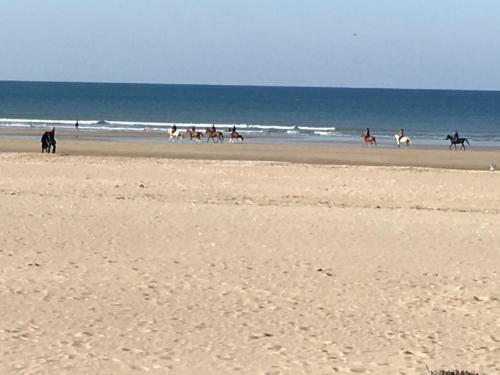Apartamento Villers Plage