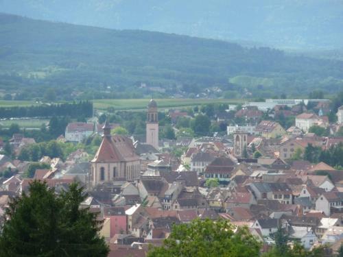 Apartamento Sur Les Toits - Gite de Charme*** A 25km de Strasbourg