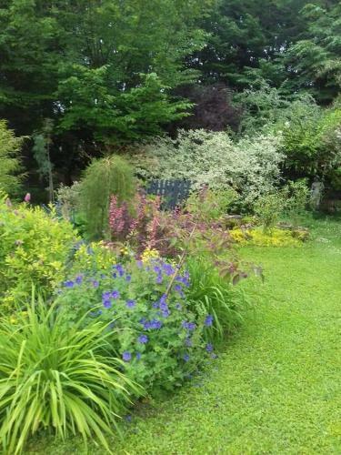 Bed & Breakfast La Haie � Cerf