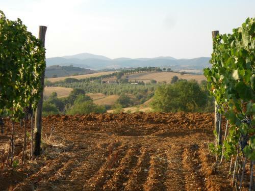 Agroturismo Agriturismo I Casamenti