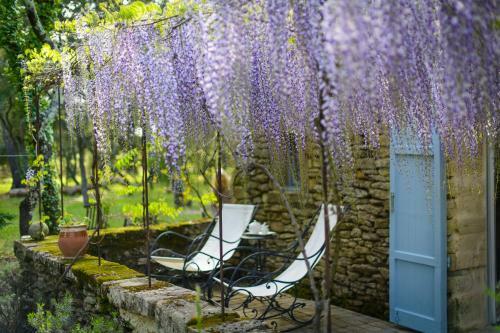 Hostal Villa Vanille