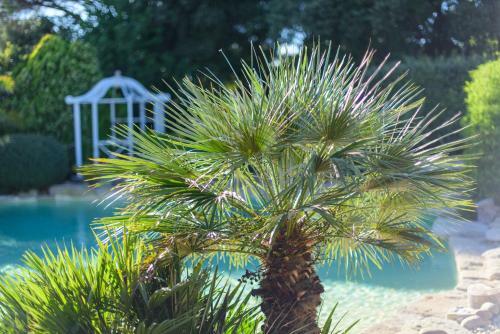 Hostal Villa Vanille